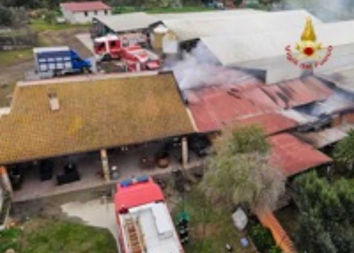 WhatsApp-Image-2025-12-20-at-163257