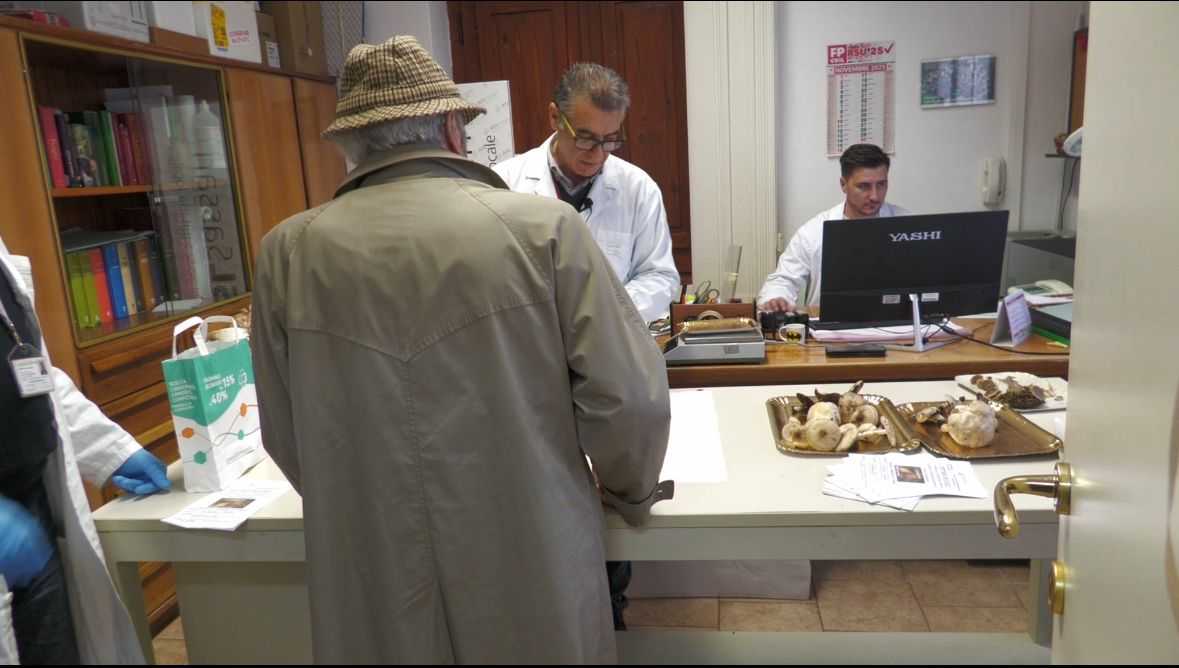 funghi-intossicazione