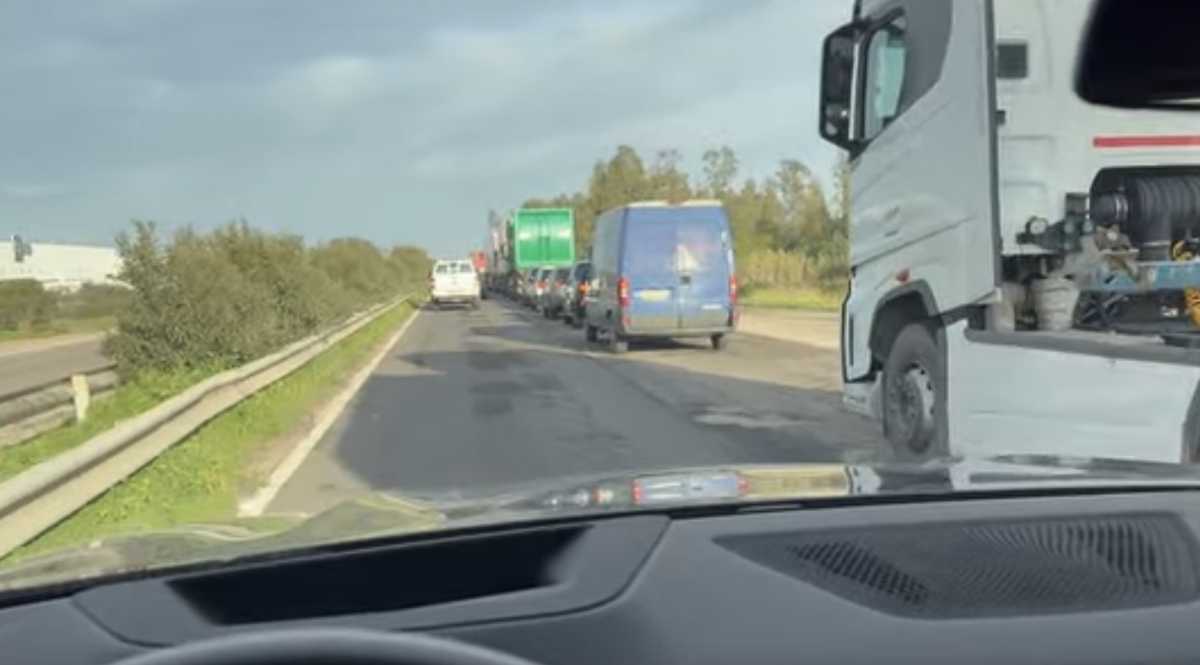 Consortile Traffico Caos consortile-traffico-caos