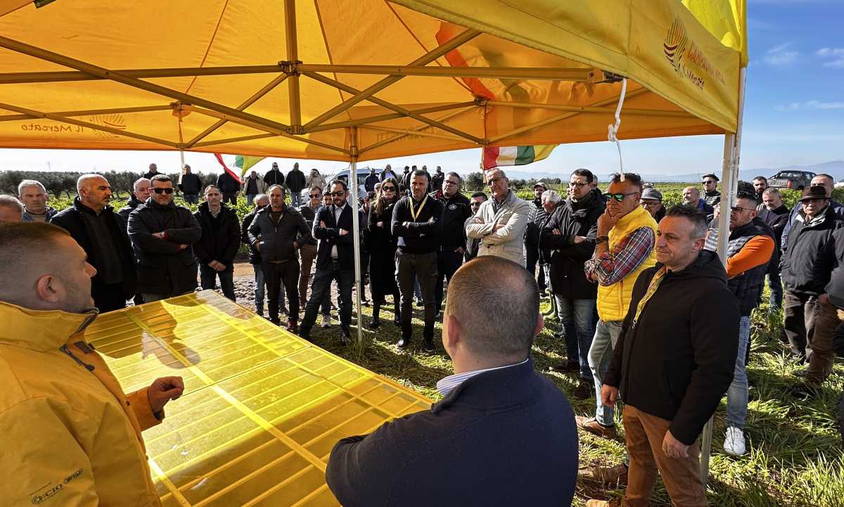 Coldiretti-SardegnaConsiglio-aperto-danni-maltempo-1