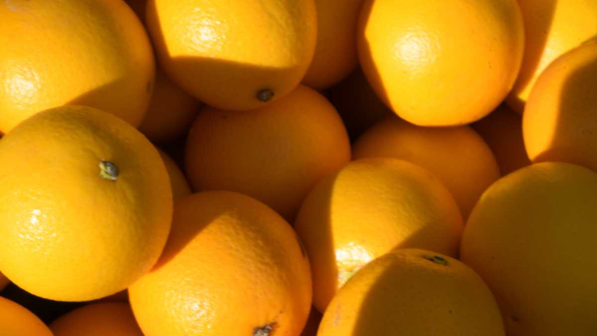 Imagoeconomica1139861