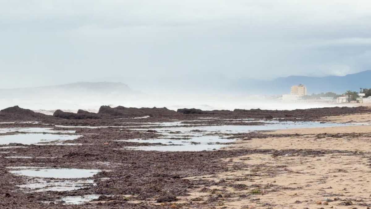 photo5771724877009194413w