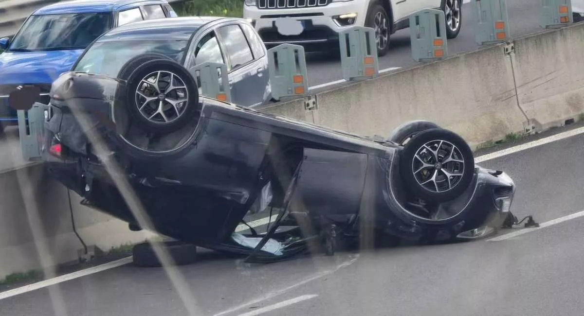 photo5778537644328422668y