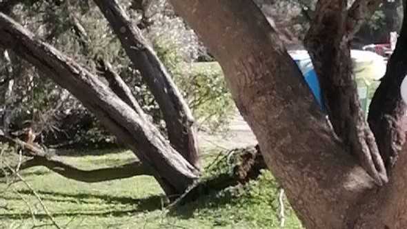 photo5796603067049380974y