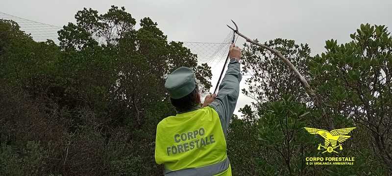 5514772088975dd54f15fc