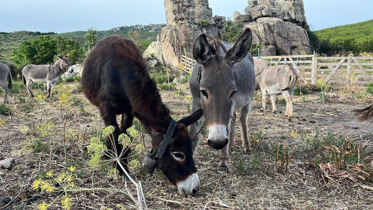 6579902741023742183986532757553590627144566n 6579902741023742183986532757553590627144566n