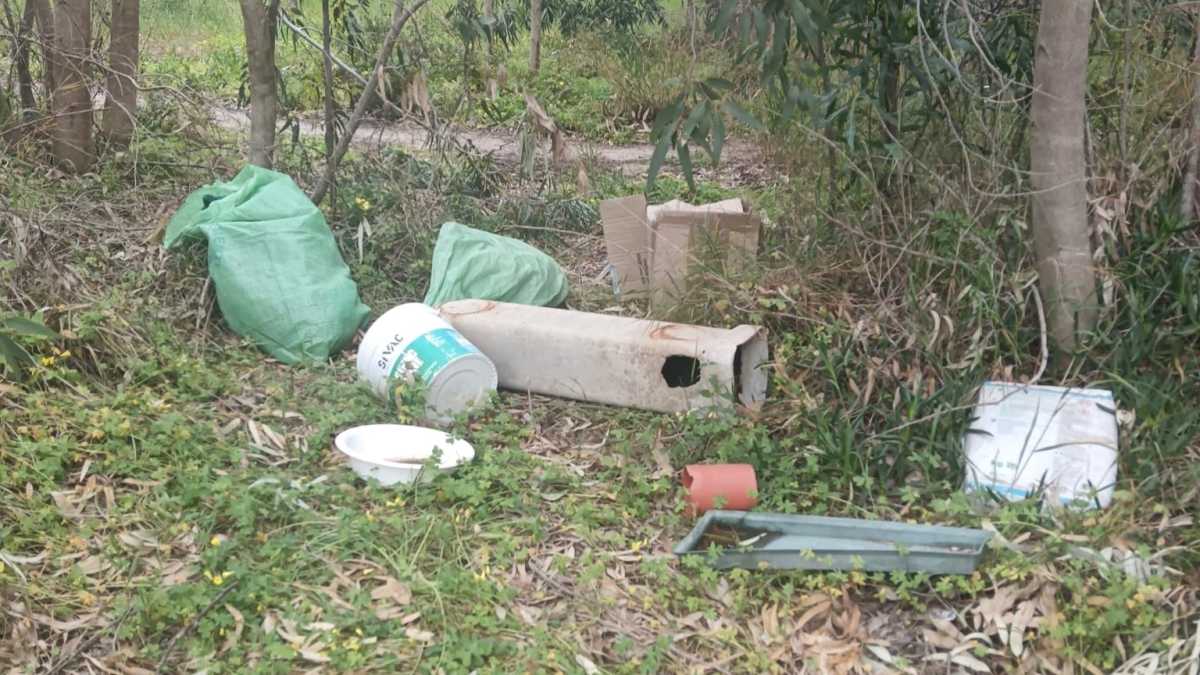 LadiscaricaabusivaaTorreGrande