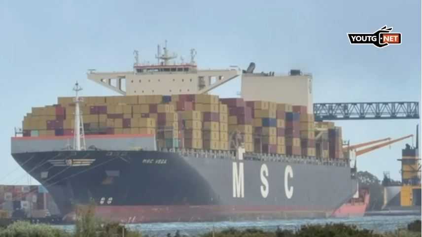 Msc-vega