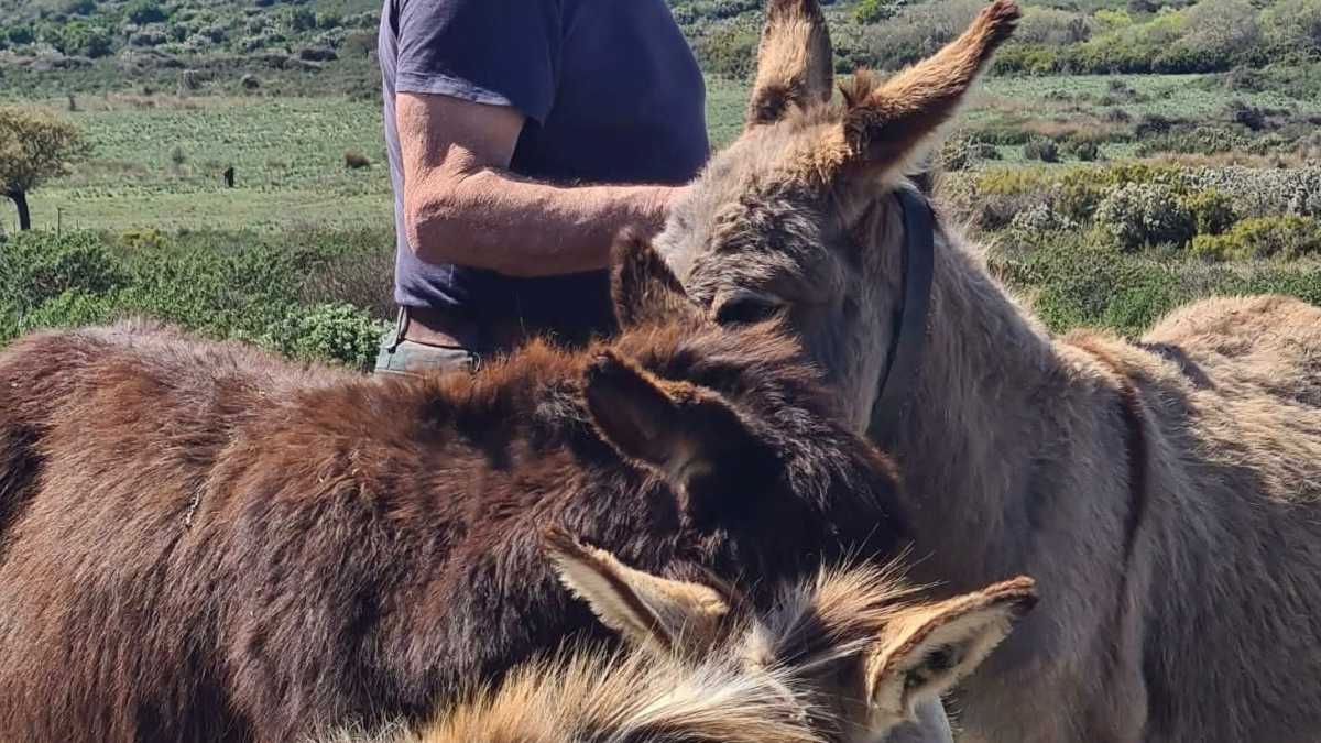 WhatsApp Image 2026 03 31 At 173338 WhatsApp-Image-2026-03-31-at-173338