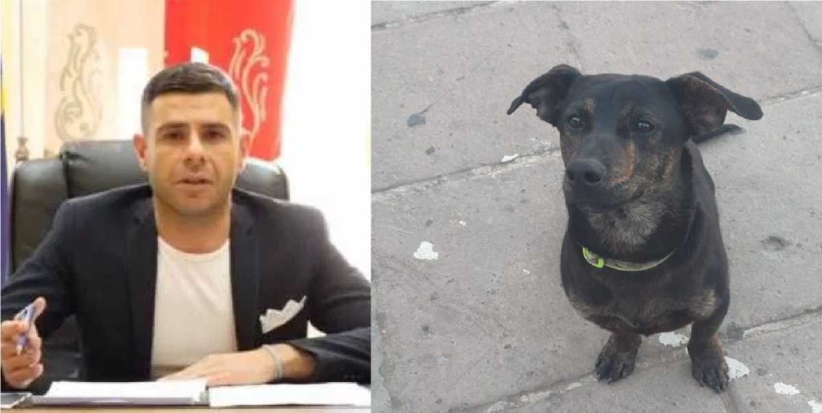 Jack Cane Ucciso Dolianova Sindaco jack-cane-ucciso-dolianova-sindaco