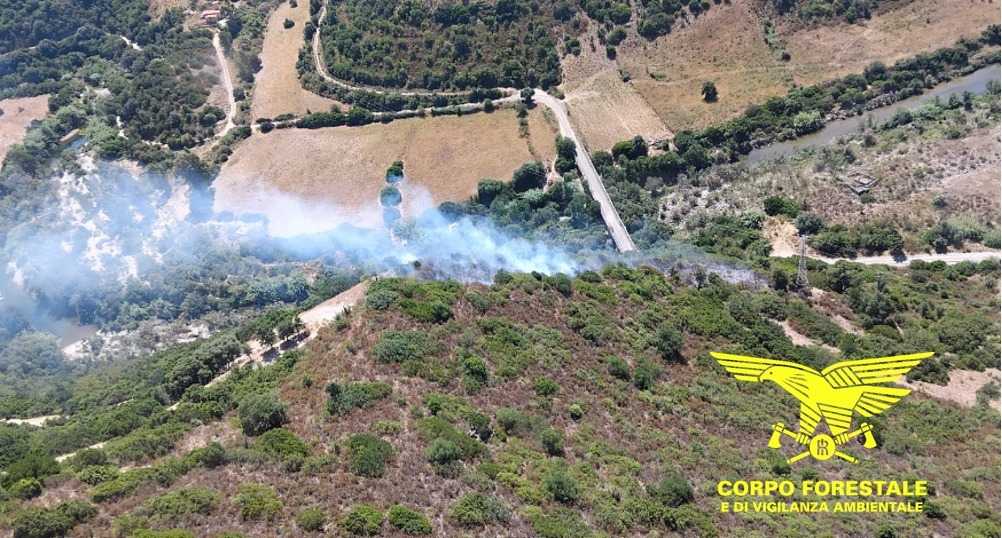 Corpo Forestale Incendio A Escalaplano corpo-forestale-incendio-a-escalaplano