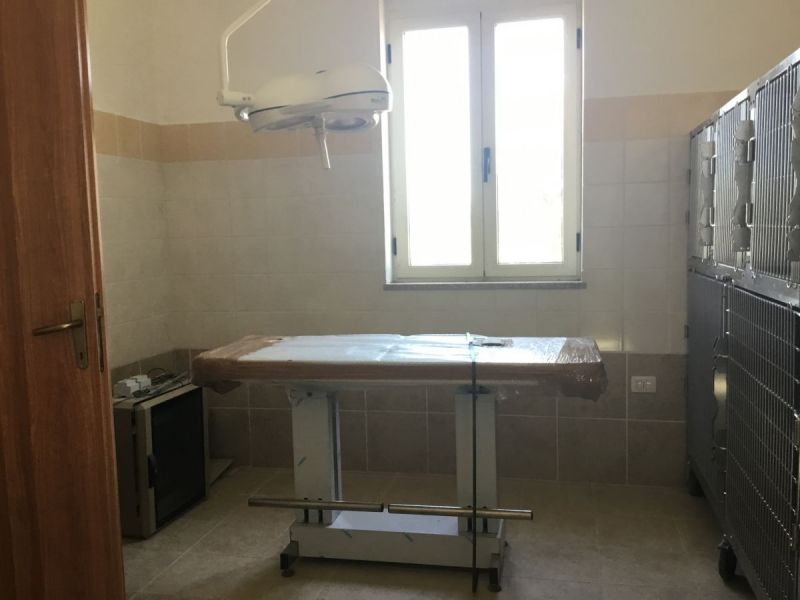Canile-di-Villacidro-mai-aperto-20