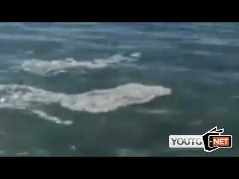 Cagliari, alla prima fermata del Poetto arrivano gli scarichi delle barche al largo