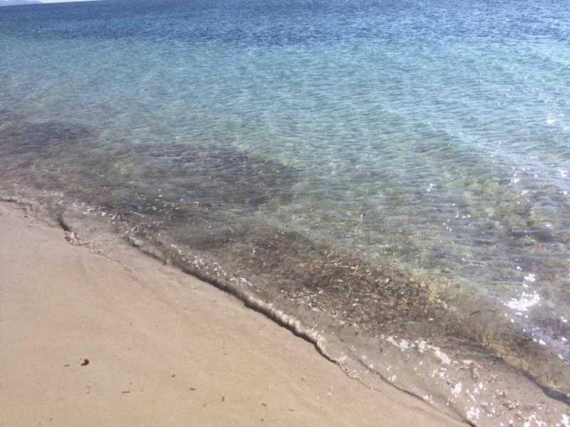 Poetto Scarti Detriti 2 Poetto-Scarti-detriti-2