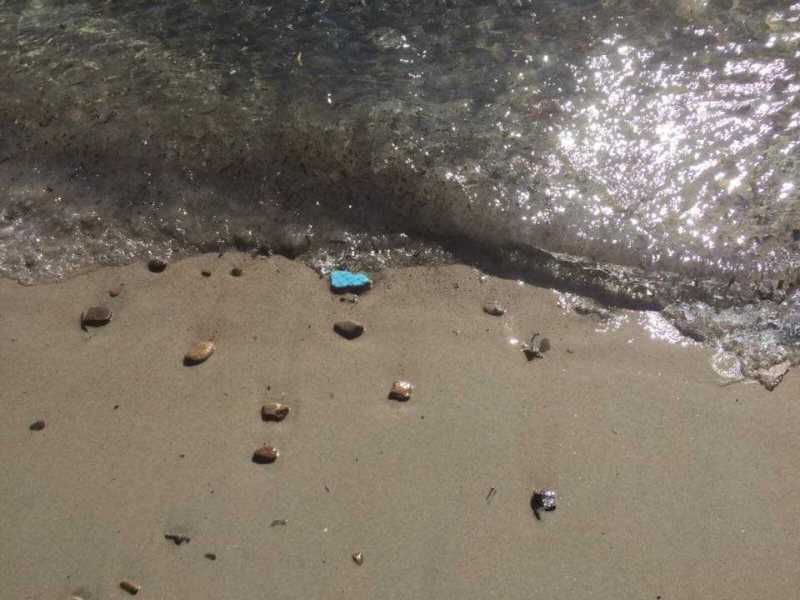 Poetto Scarti Detriti Poetto-Scarti-detriti