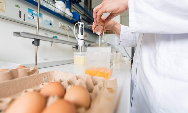 Uova Contaminate Insetticida Fipronil